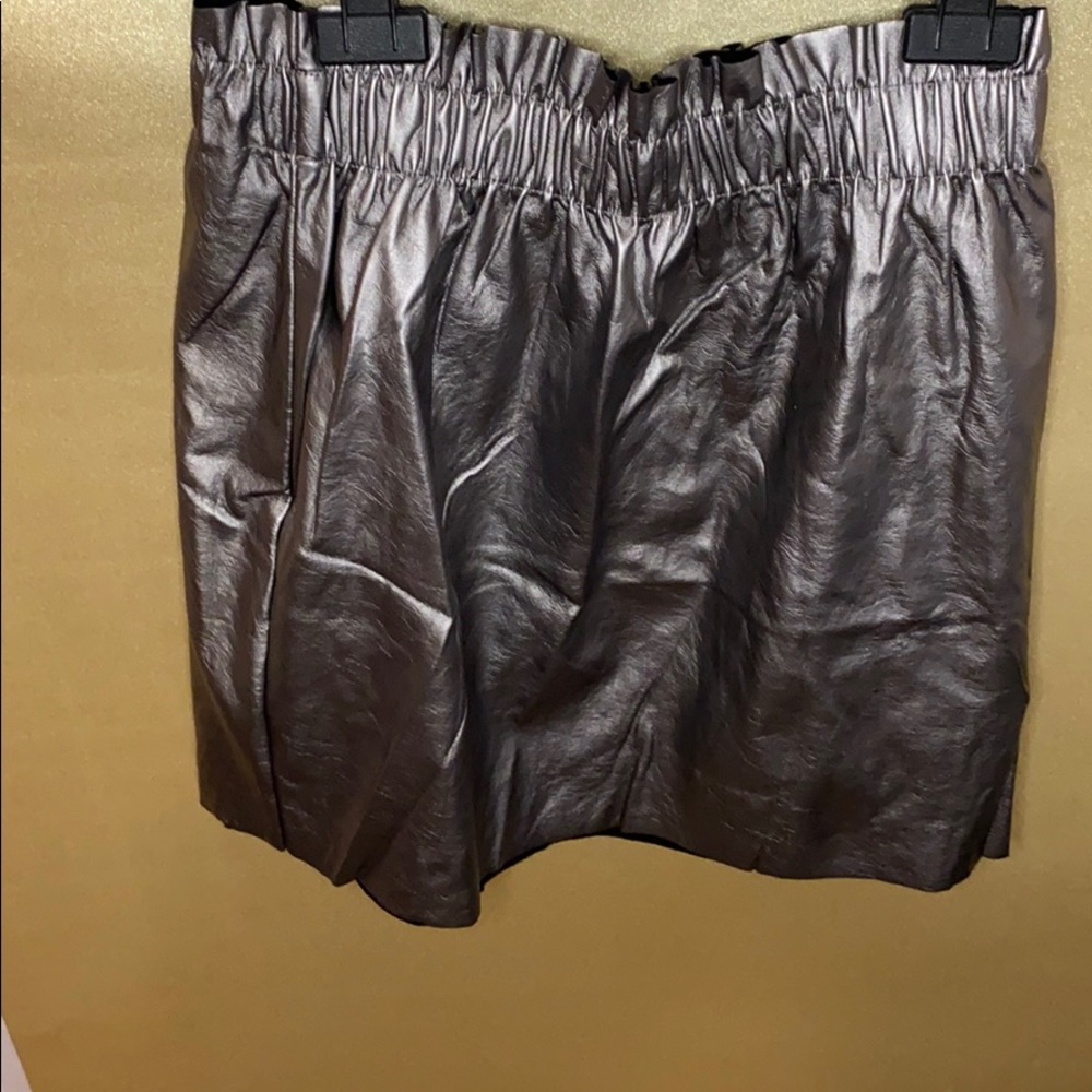 Silver Skirt